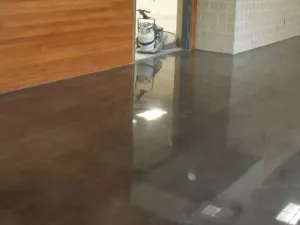 פוליש ווקס 1